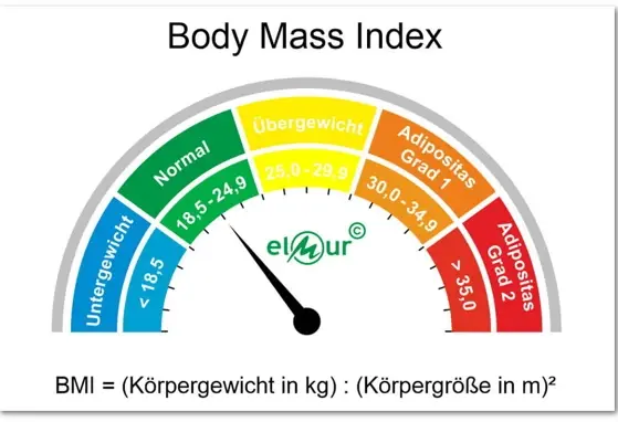 BMI Rechner