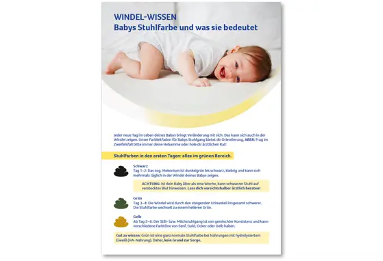BEBA Family Infoflyer Stuhlfarbe