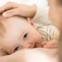 HMO HMO