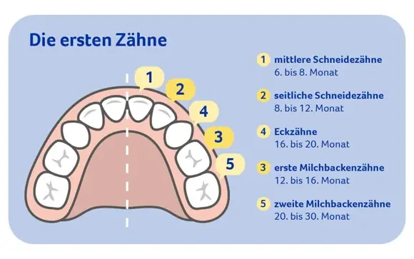 Zahnen Zahnen