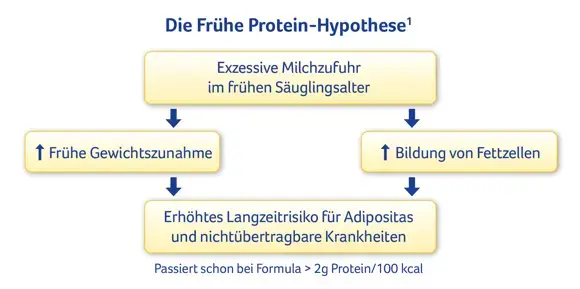 Protein Hypothese Protein Hypothese